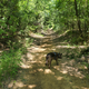 Illustration for article titled Toby exploring Denton, TX